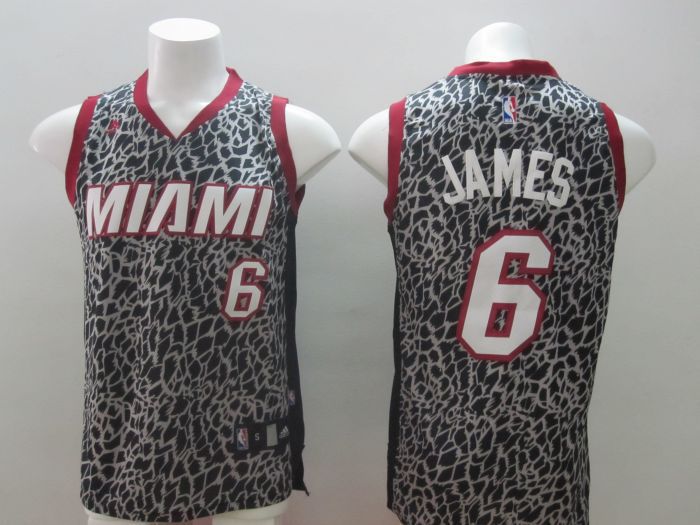 Miami Heat 6 LeBron James Black Leopard Print Fashion Jersey